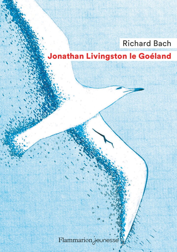 Livre Jonathan Livingston le Goéland PDF Richard Bach